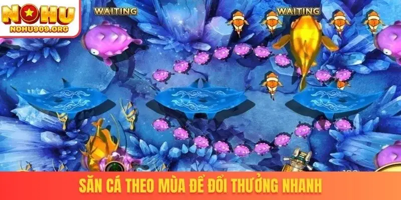 Săn cá theo mùa để đổi thưởng nhanh