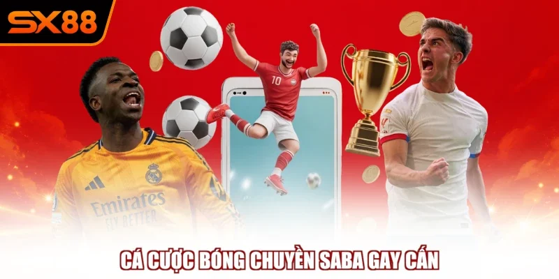 Cá cược bóng chuyền SABA gay cấn