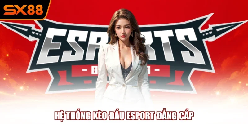 Hệ thống kèo đấu Esport đẳng cấp